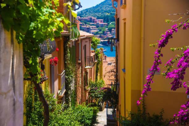 Studio Centre Plage Parking Gratuit Collioure Exterior photo